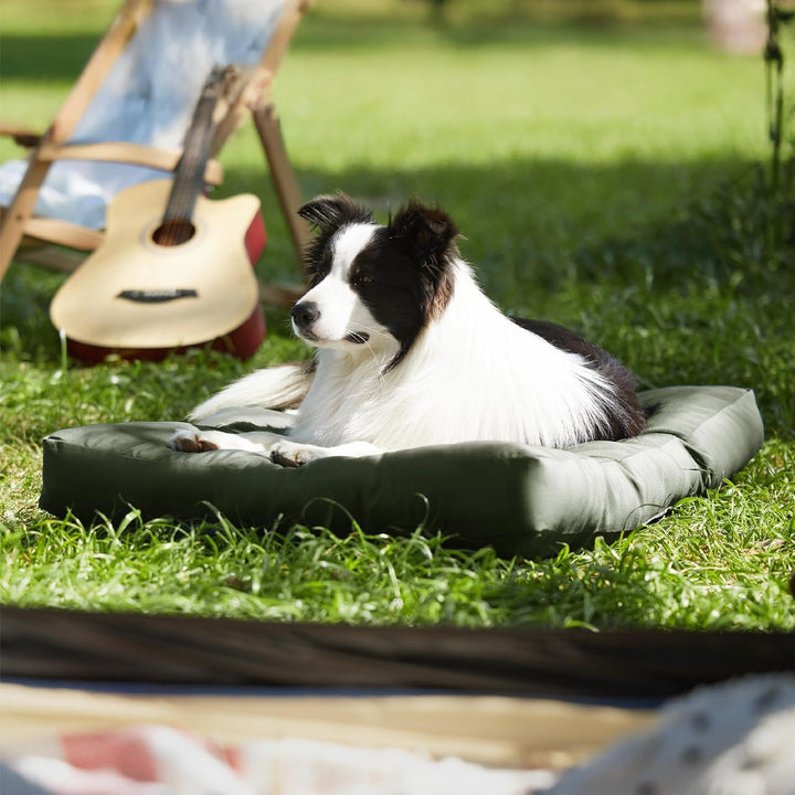 BEDSURE Hundekissen Grosse Hunde waschbar - 91x68cm hundematratze wasserdicht L für grosse, mittelgr