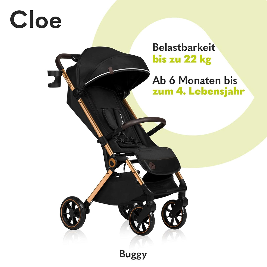 LIONELO Cloe Zusammenklappbarer Kinderwagen bis zu 22 kg, Verstellbare Rückenlehne Schlaffunktion, 5
