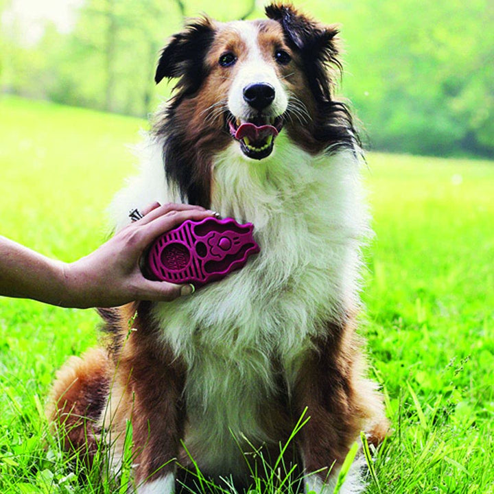 KONG – ZoomGroom – Bürste zur Hundepflege und zum Shampoonieren – Für Grosse Hunde (Rot) Rot Standar