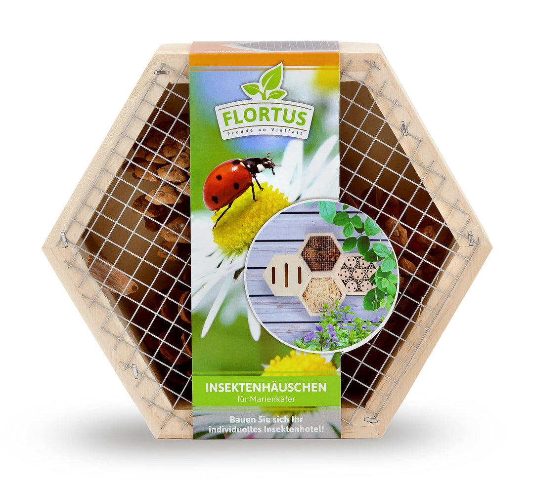 FLORTUS Insektenhotel Marienkäfer | naturbelassenes Marienkäferhaus 15 x 13 x 6 cm | Ladybug Haus fü
