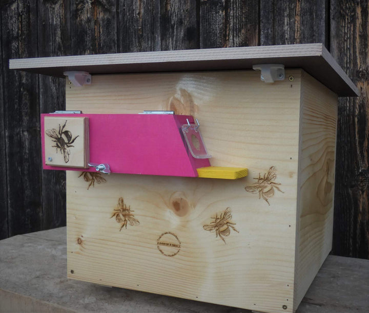 Profi XXXL Hummelkasten mit Wachsmottensperre und Zufütterung, 2X Sichtfenster und Nistmaterial gefl