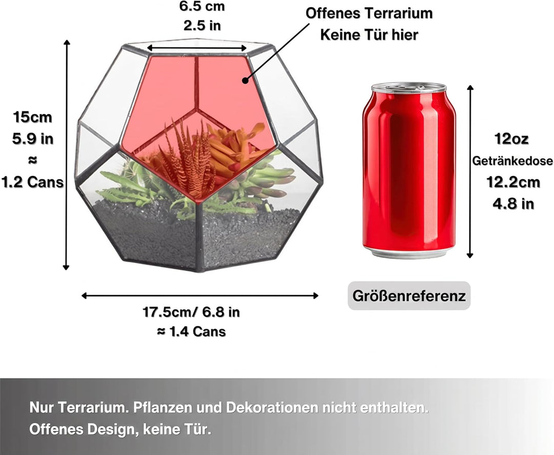 NCYP Handmade Blumentopf Transparentes fünfeckiges Dodekaeder Glas, Terrarium, auch für Sukkulenten,