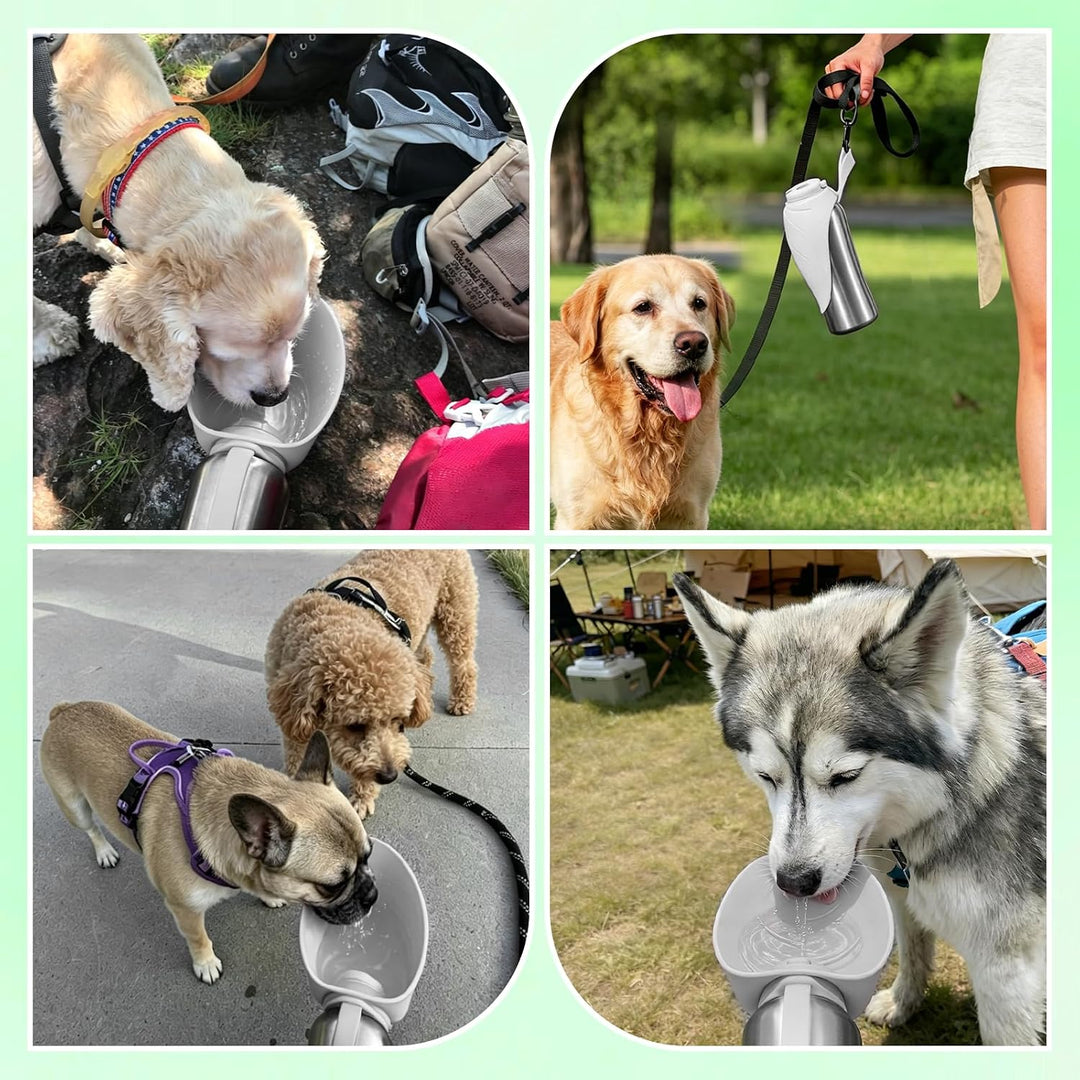 Nepfaivy Trinkflasche Hunde für Unterwegs Edelstahl 800ml - Auslaufsichere Hundetrinkflasche für Unt