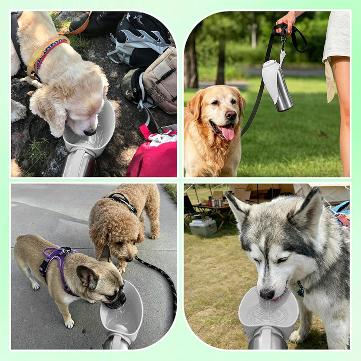 Nepfaivy Trinkflasche Hunde für Unterwegs Edelstahl 800ml - Auslaufsichere Hundetrinkflasche für Unt