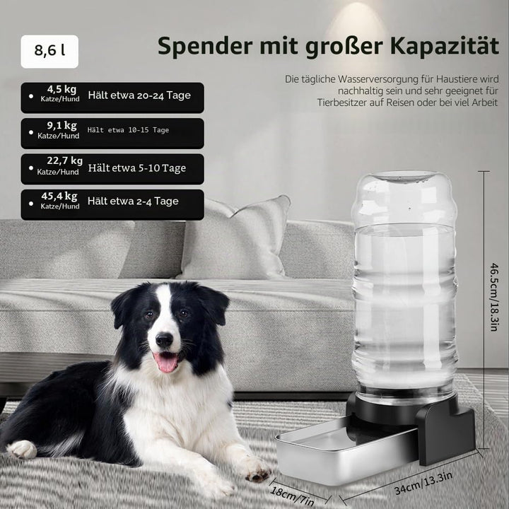 Marchul 8.6L Grosser Hund Wasserspender mit Tischset, Automatischer Wasserspender mit Edelstahl Wass