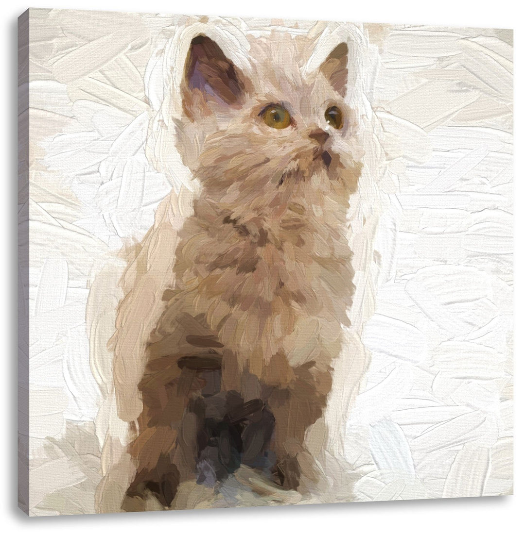 Pixxprint Niedliches Katzenbaby auf Teppich Pinsel Effekt, Format: 70x70 auf Leinwand, 70x70
