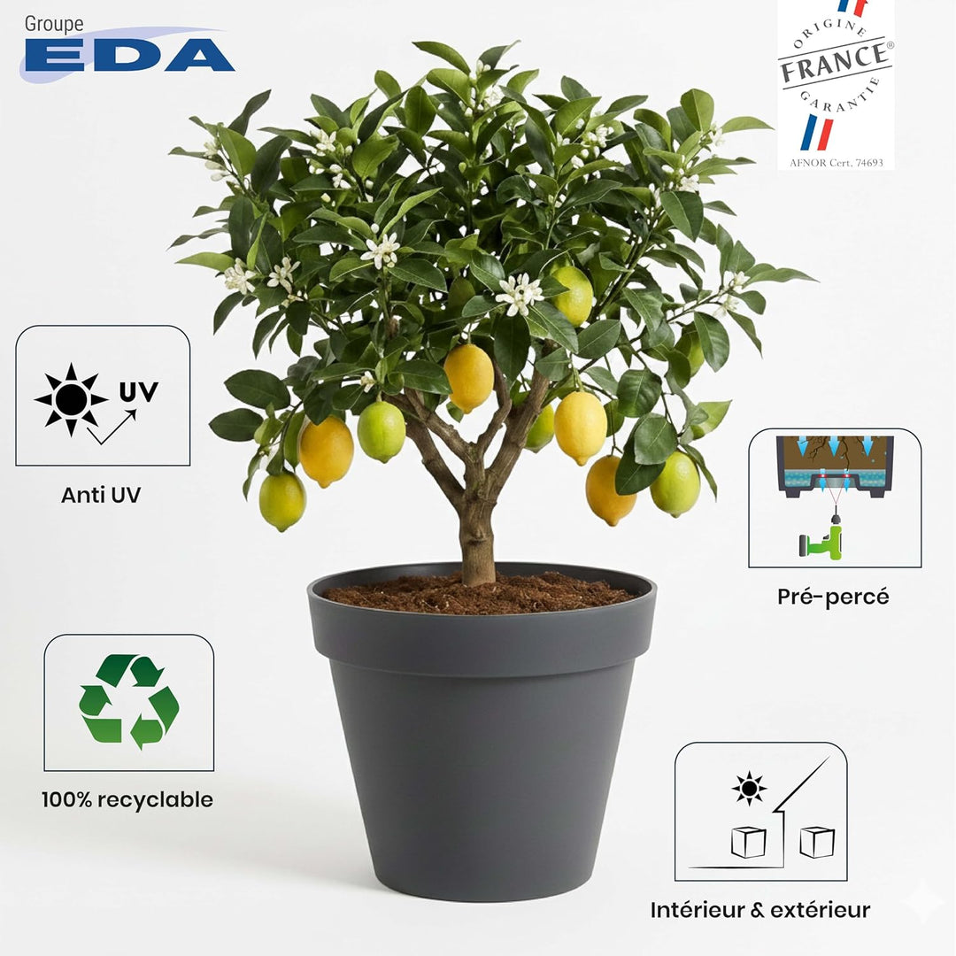 EDA - Blumentopf Toskana, rund, Ø 48 cm – Volumen 43 l – Ø 47,5 x H 39 cm – Lorbeergrün Lorbeergrün