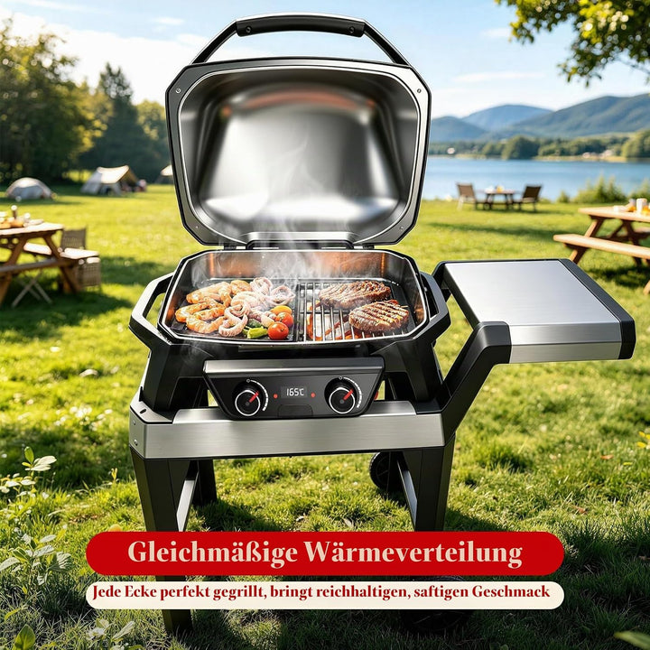 38,6 x 24,6 CM Gusseisen Plancha Grillplatte für Weber Pulse 2000 Elektrogrills, Langlebige und Hitz