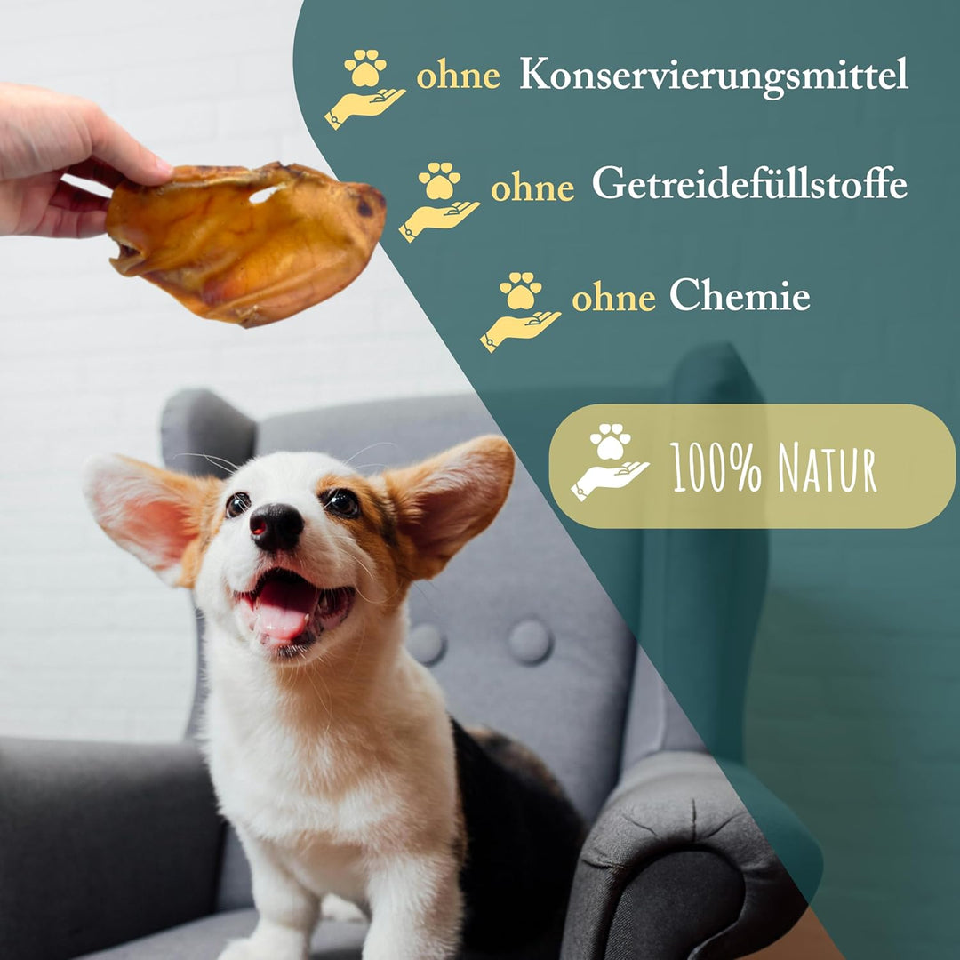 getrocknete Schweineohren für Hunde, 25 Stück, 100% Schwein, Kauartikel, Hundefutter, Barf, Leckerli