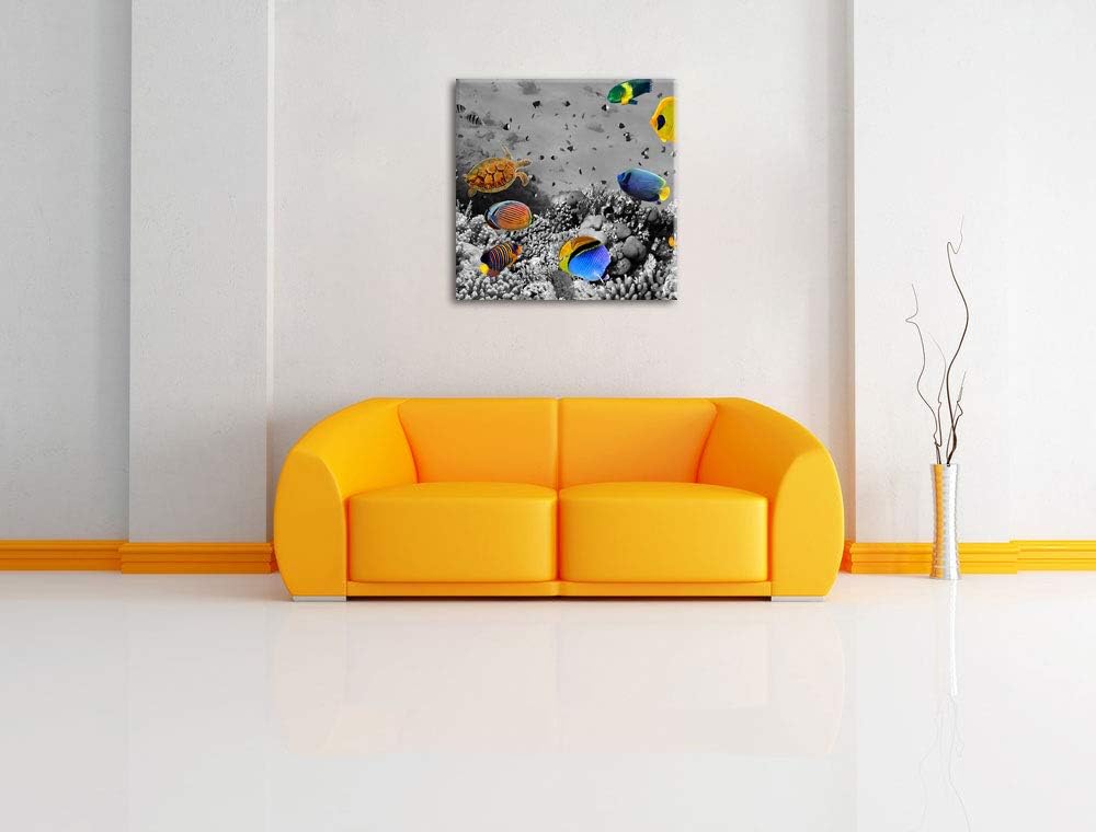 Pixxprint Fischvielfalt über Korallenriff schwarz/weiss, Format: 70x70 auf Leinwand, 70x70