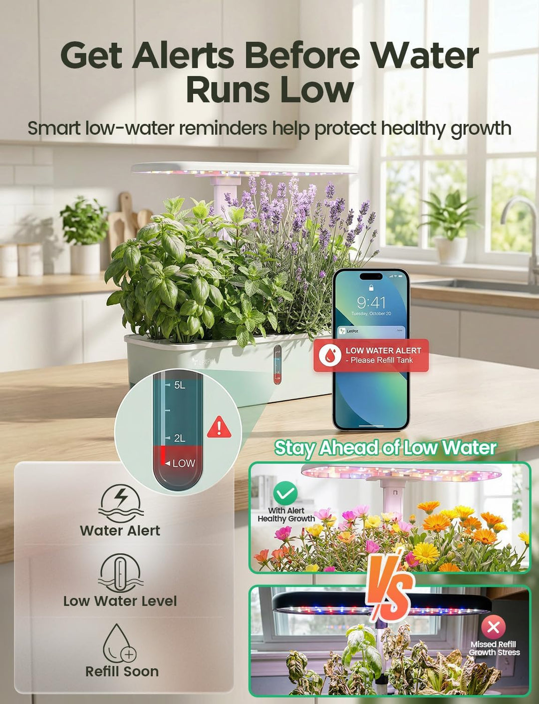LetPot LPH-Air WiFi Hydroponisches Anzuchtsystem, 10 Hülsen Smart Herb Garden Kit für Innenräume, In
