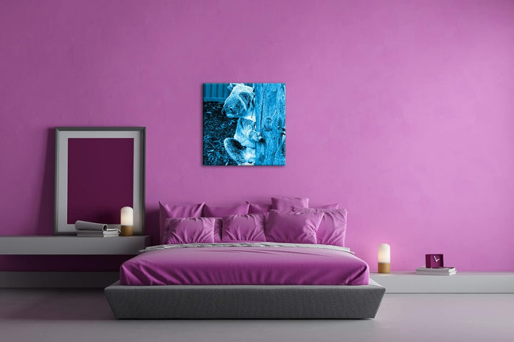 deyoli niedlicher Koala in Australien Format: 70x70 Effekt: Monocrome Blau als Leinwandbild, Motiv f