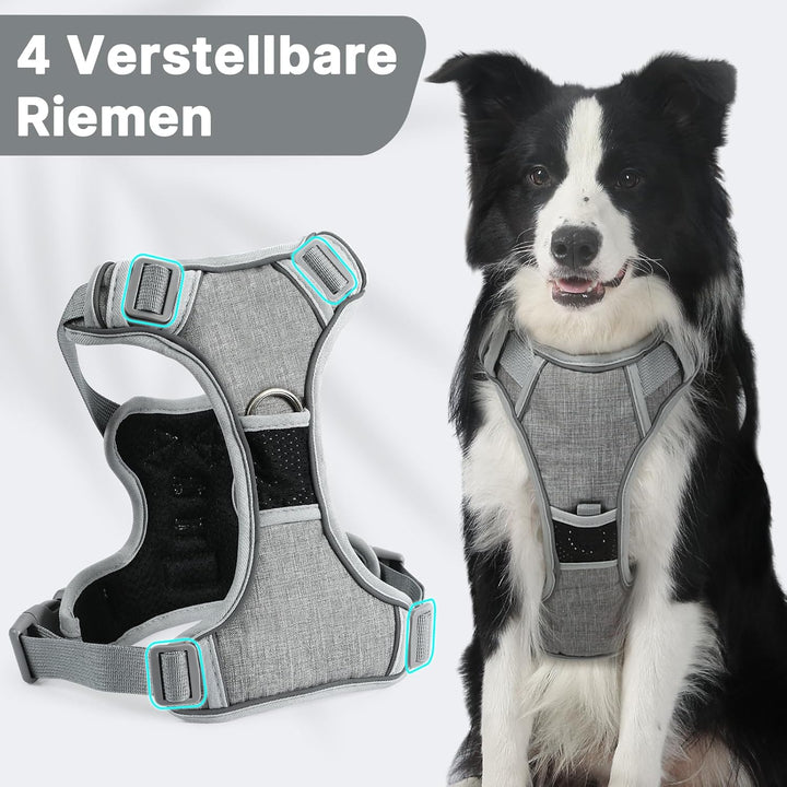 Demigreat Mittleres Hundegeschirr, Anti-Zug-Hundegeschirr mit Weich Gepolstertem Griff für das Train
