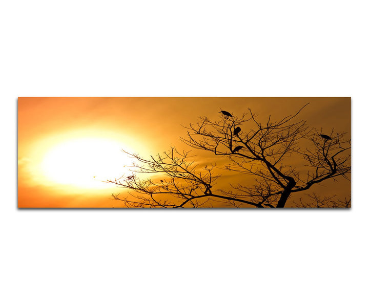 Paul Sinus Art Panoramabild auf Leinwand und Keilrahmen 150x50cm Nepal Baum Vögel Sonnenuntergang