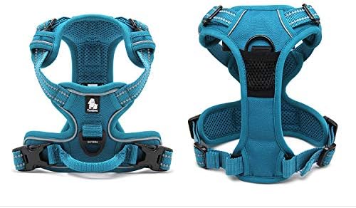 WINHYEPET Truelove Hundegeschirr No-Pull Reflektierendes verstellbar Haustiergeschirr mit 2 Leinencl