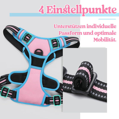 rabbitgoo Hundegeschirr Mittelgrosse Hunde Anti Zug Geschirr Hund mit Kontrolle No Pull Verstellbar