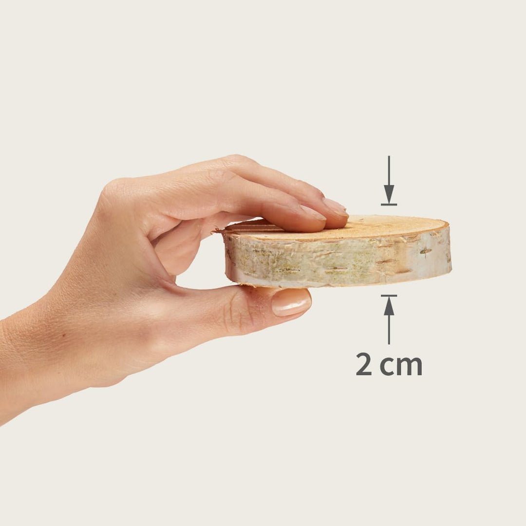 Holzscheiben in 16-18 cm Durchmesser für DIY Basteln und Dekorieren - 10 Stück runde Birkenholz Baum