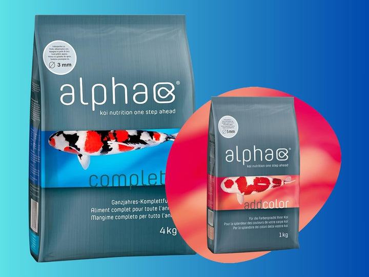alpha Koifutter Complete 4kg - 3 mm - koinutrition one Step Ahead - Schwimmfutter Ganzjahresfutter f