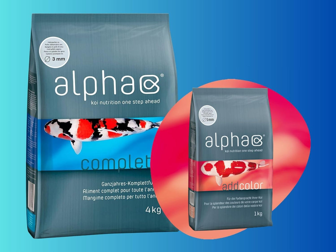 KOIFUTTER Alpha Complete 3mm - koinutrition one Step Ahead - Schwimmfutter Ganzjahresfutter für Koi