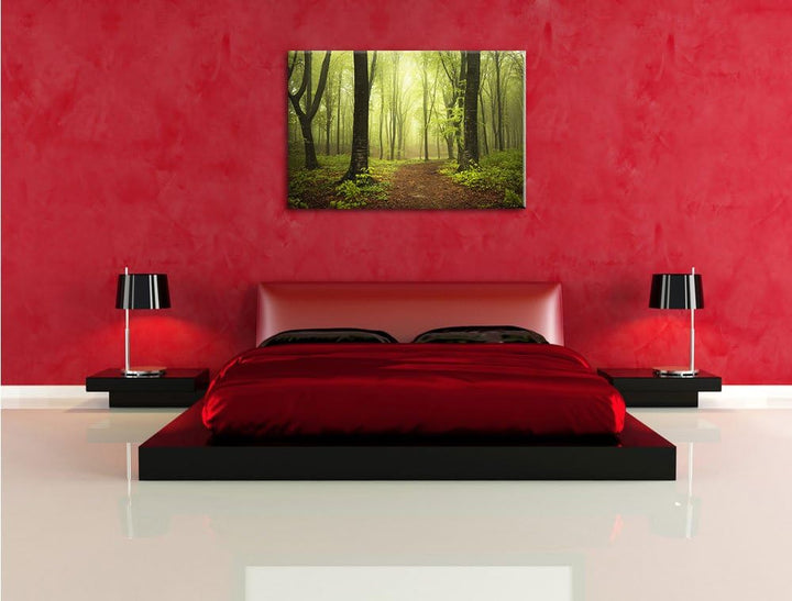 Pixxprint Sonniger Weg im atemberaubenden Wald, Format: 100x70 auf Leinwand, riesige Bilder fertig g