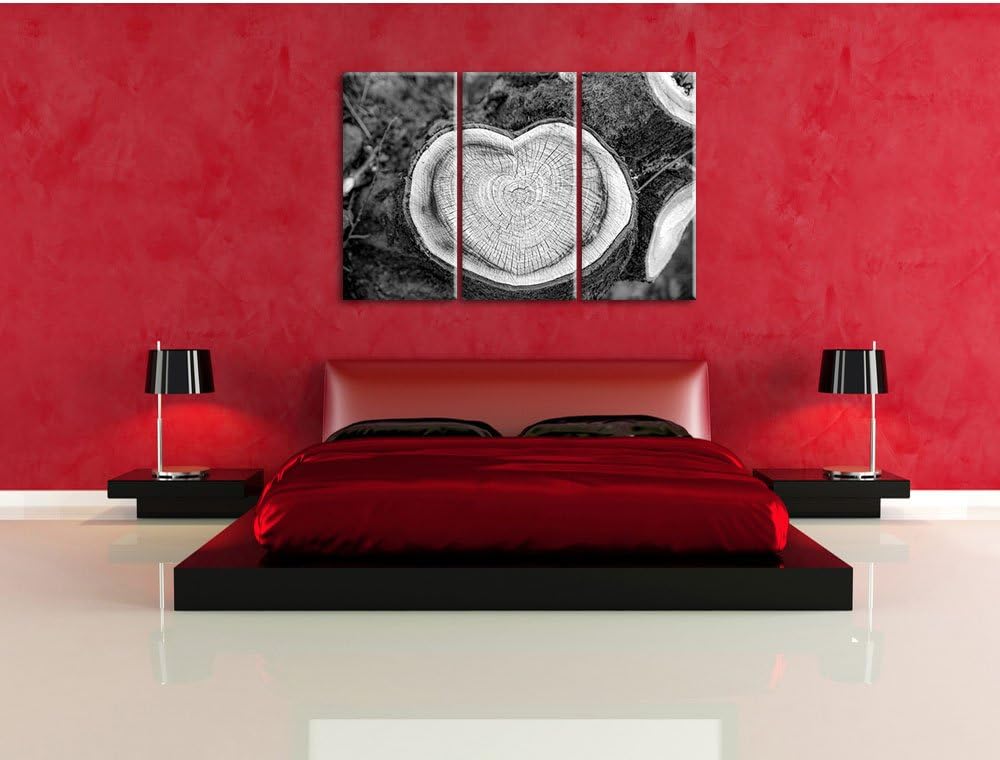 Pixxprint Jahresringe am Baumstamm als Leinwandbild/Grösse: 3 Teilig (120x80) cm/Wandbild/Kunstdruck