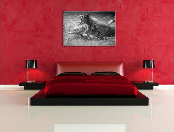 Pixxprint Tobendes Wolfsrudel als Leinwandbild/Grösse: 100x70 / Wandbild/Kunstdruck/fertig bespannt,