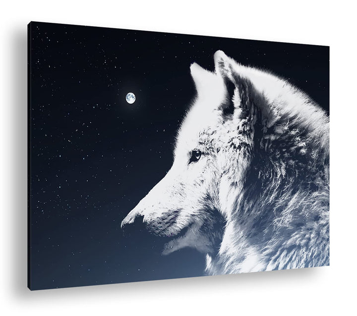 deyoli einsamer stolzer Wolf Format: 100x70 als Leinwandbild, Motiv fertig gerahmt auf Echtholzrahme