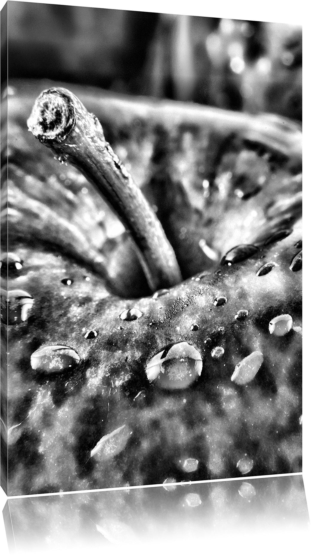 Monocrome, Apfel, Format: 100x70 auf Leinwand, XXL riesige Bilder fertig gerahmt mit Keilrahmen, Kun