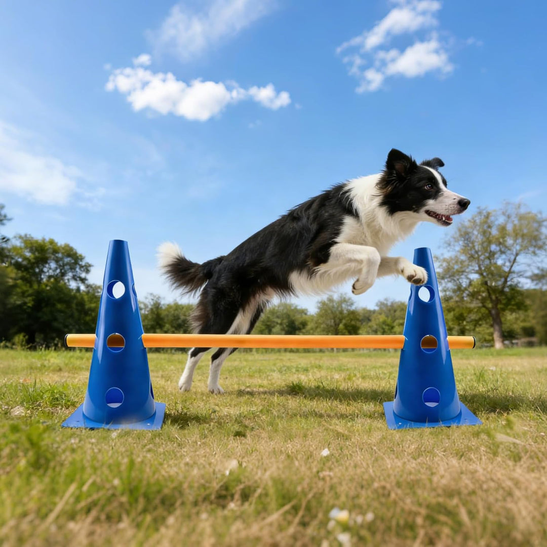 Agility Set für Kinder und Hunde, 12 Kegel + 12 Stangen mit Tragetasche, Koordinations- und Sinneswa