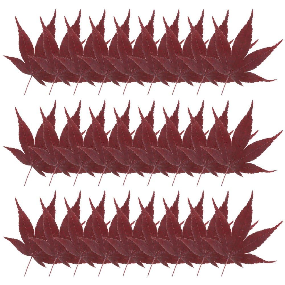 30 Stück Ahornblatt-Dekoration, Sushi-ahornblätter, Sashimi-tellerblatt, Japanische Lebensmitteldeko