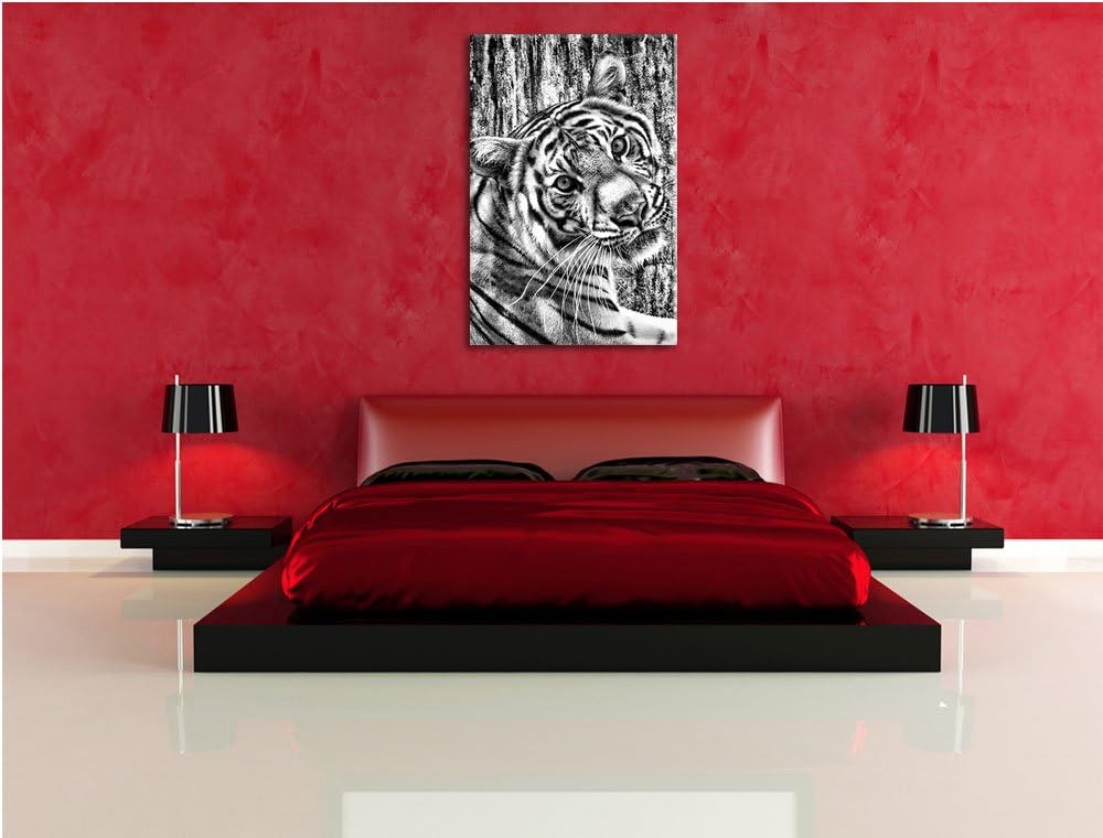 Pixxprint Neugieriger Tiger als Leinwandbild/Grösse: 100x70 / Wandbild/Kunstdruck/fertig bespannt, 1