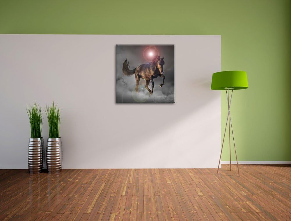 Elegantes Pferd beim springen schwarz/weiss, Format: 70x70 auf Leinwand, 70x70