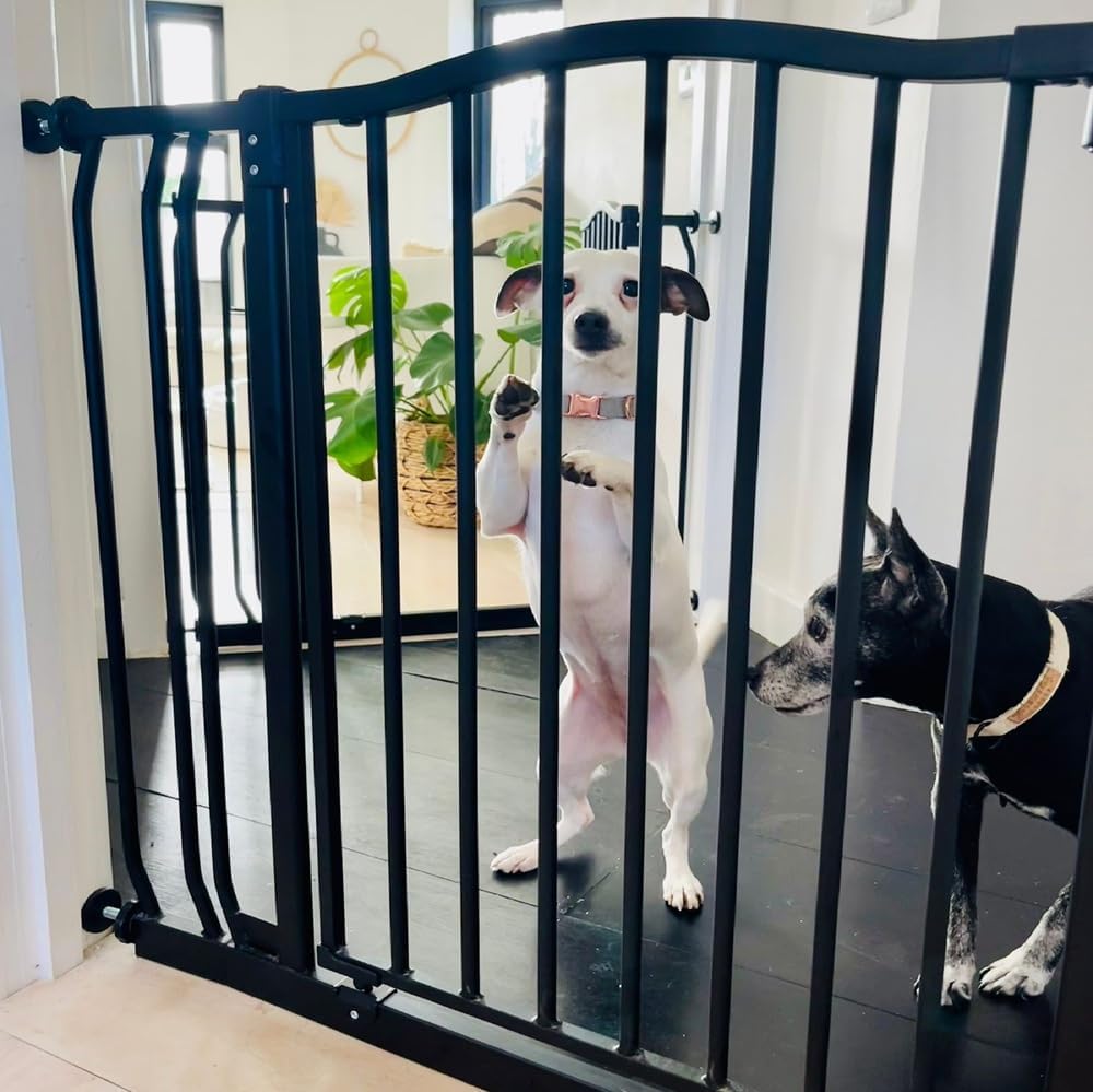 Bettacare Gebogenes Hundetor, 171cm - 180cm, Mattschwarz, Druckmontage Haustiertor für Hunde und Wel