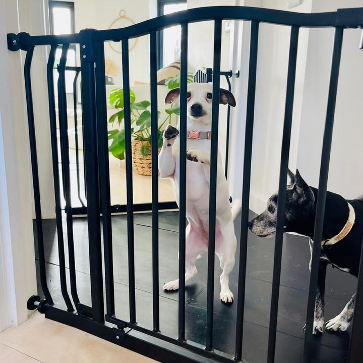 Bettacare Gebogenes Hundetor, 171cm - 180cm, Mattschwarz, Druckmontage Haustiertor für Hunde und Wel