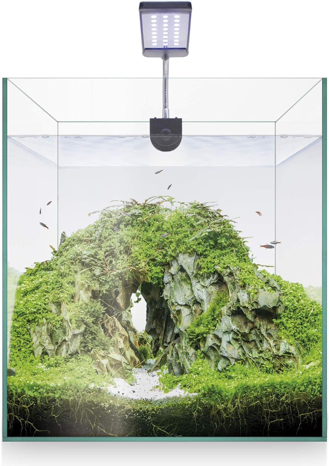 ICA Kit Nano Aquascape RGB 25 x 25 cm 8949.9999999999999 g