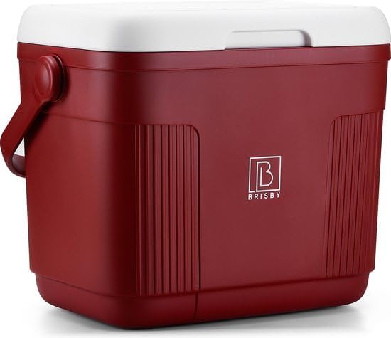Brisby Kühlbox - 18 Stunden warm - 40 Stunden kühl - Inklusive 4 grosse Kühlelemente 450 ML - 38,3cm