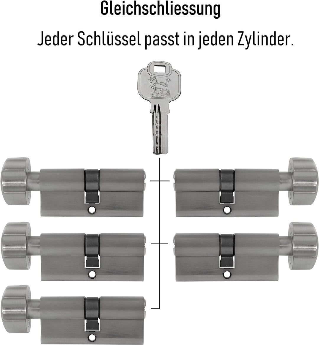 Gleichschliessende Schliesszylinder 60 mm (30/30 mm) inkl. 3 Schlüssel pro Zylinder (Zylinderanzahl