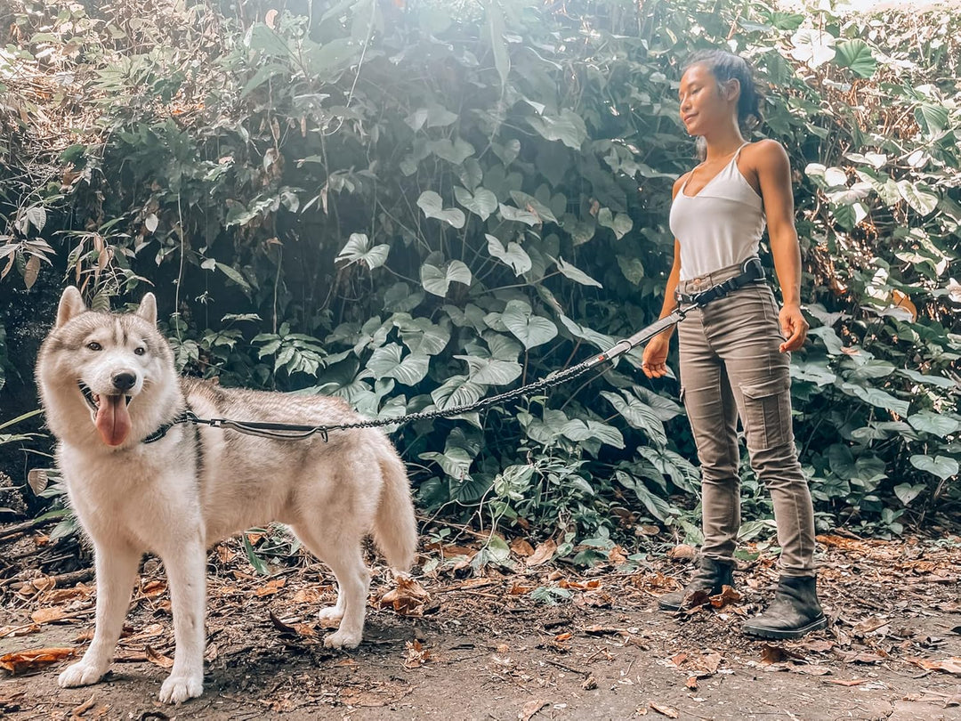 Robuste, freihändige Hundeleine von Tuff Pupper | Ein grosser Hund bis 55 kg | Bequemer, stossdämpfe