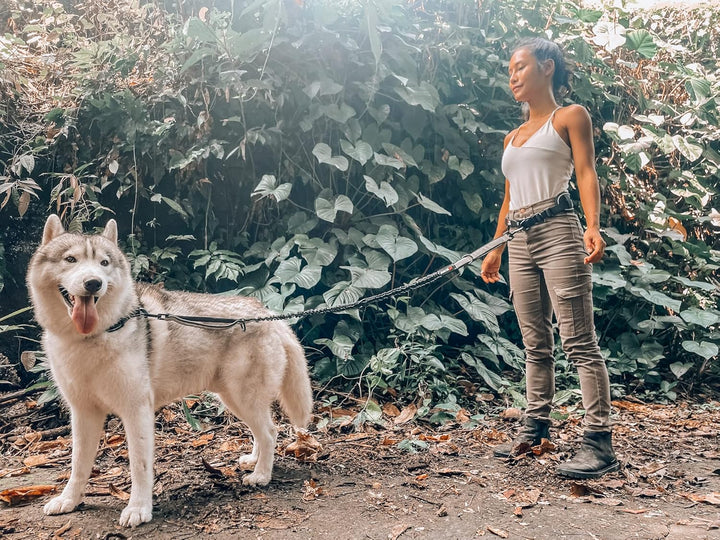 Robuste, freihändige Hundeleine von Tuff Pupper | Ein grosser Hund bis 55 kg | Bequemer, stossdämpfe