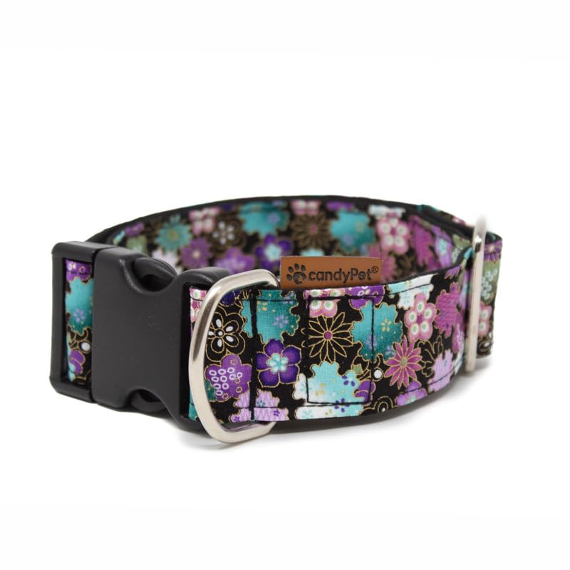 Click Hundehalsband, Liberty Freiheit Ancho 4 cm (30-55cm contorno), Freiheit Ancho 4 cm (30-55cm co