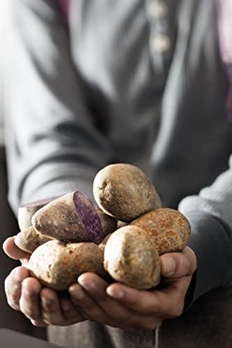 RÖSLE Kartoffelpresse, hochwertige Presse zur Zubereitung von Kartoffelpüree, einfache Reinigung, Ed