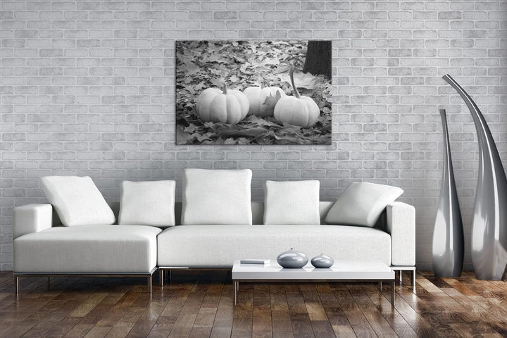 deyoli Herbstliche Kürbise Effekt: Schwarz&Weiss Format: 80x60 als Leinwandbild, Motiv fertig gerahm