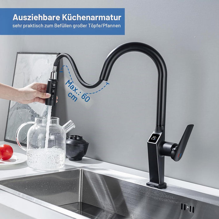 3 Wege Wasserhahn Küche Mit Ausziehbar,Mit LED-Temperaturanzeige,3 in 1 Mischbatterie für Wasserfilt