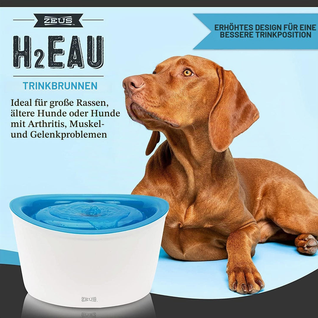 Zeus Trinkbrunnen für Hunde, weiss/blau, 6L