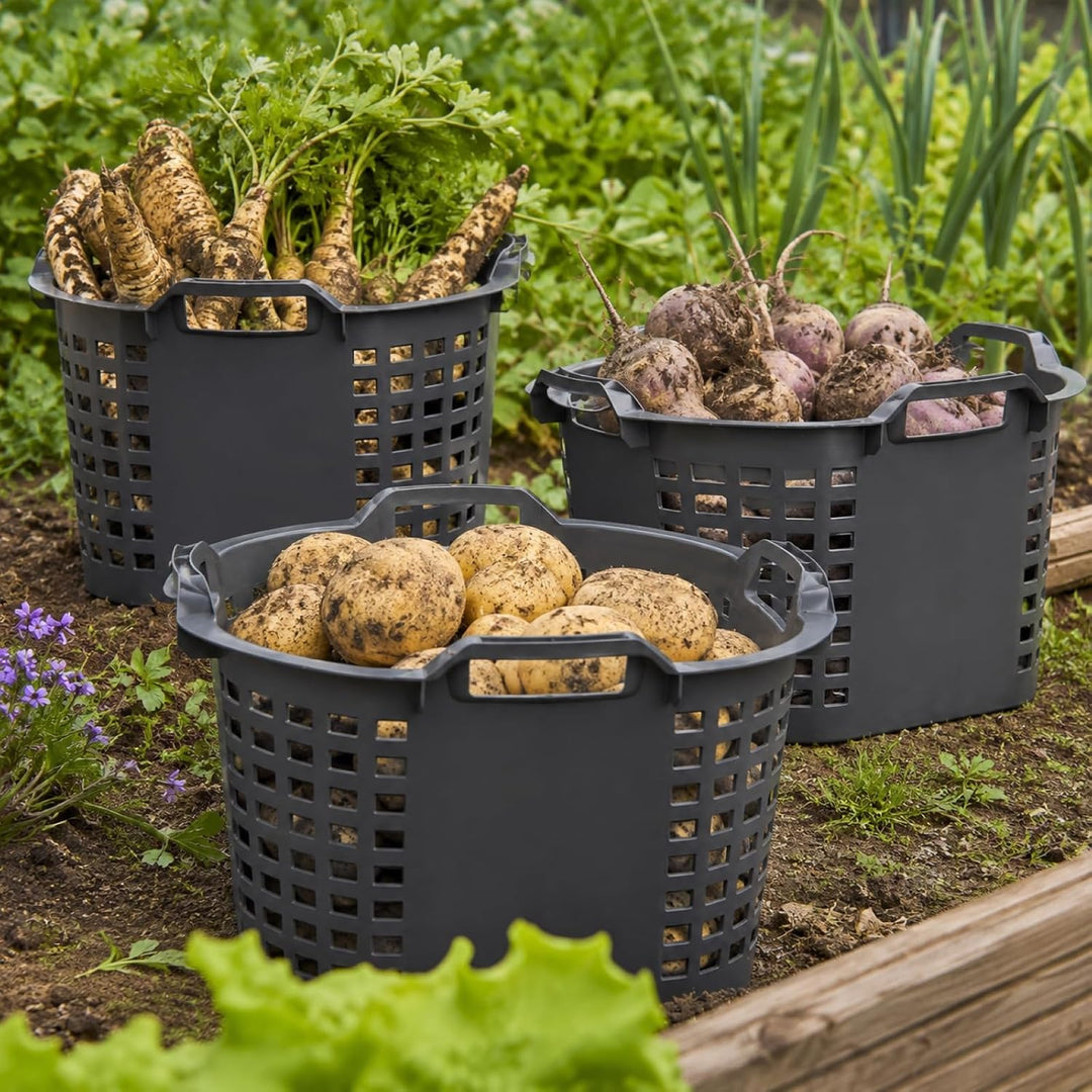 Erntekorb 50 L 5er Set Gartenkorb Grau Lebensmittelecht Obstkorb Robust 5 Stück Grau - 50 Liter, 5 S