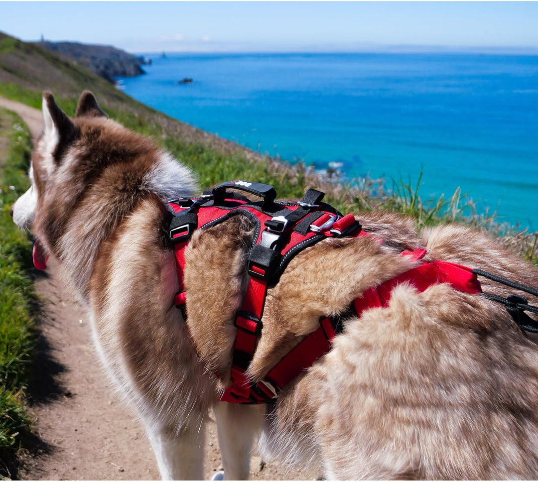 Trek I-Dog Comfort Geschirr, Rot (L), L