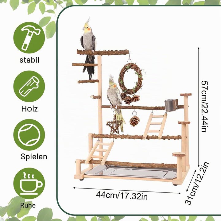 Vogelspielplatz Wellensittich Spielplatz Spielzeug, Grosser vogel Spielplatz mit Schaukel Sitzstange