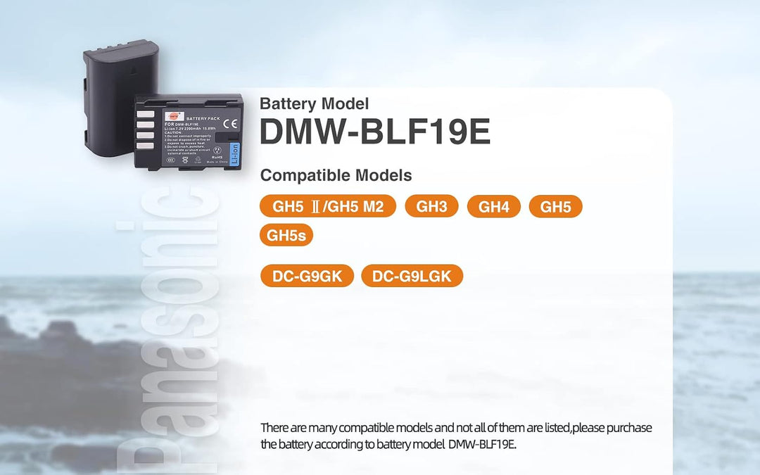 (2-Pack) DMW-BLF19E DSTE Ersatz Batterie Akku Kompatibel für DMW-BLF19 und Panasonic Lumix DMC-GH3,D