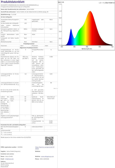 SALCAR LED Lichtervorhang Aussen 2x3m, Lichterkette Vorhang Weihnachten Innen mit 8 Modi und Memory,