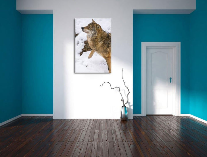 Pixxprint schöner Wolf im Schnee auf Leinwand, XXL riesige Bilder fertig gerahmt mit Keilrahmen, Kun